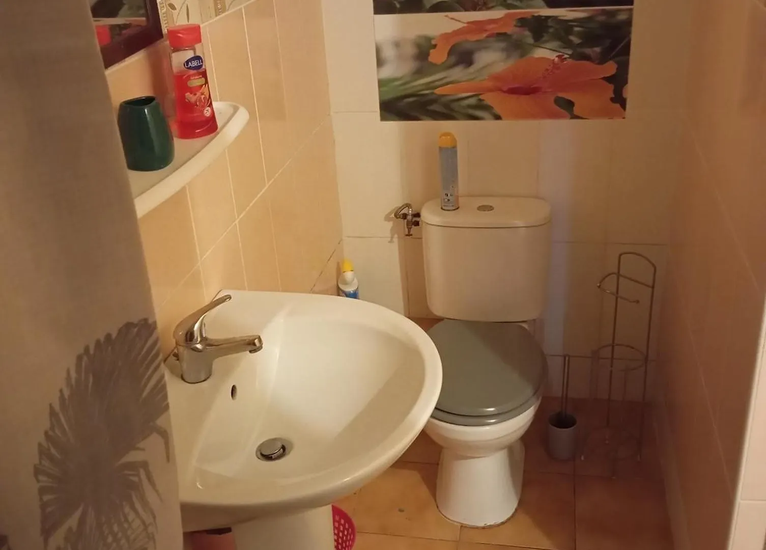 Appartement La Colombe 3 à Riviere-Salee 0*,
